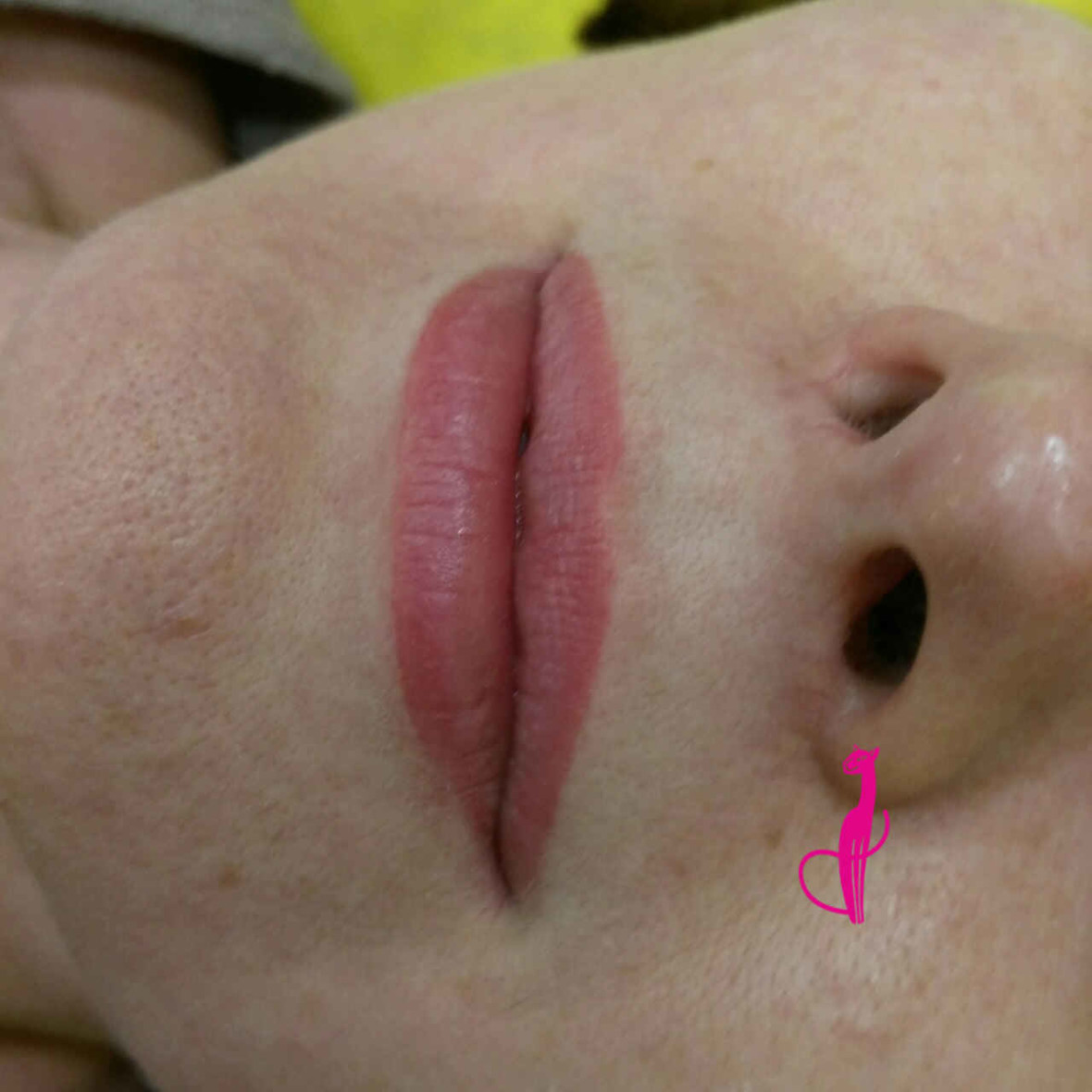 Перманент губ в стиле NUDE (эффект натуральных губ) Розовая пантера Минск